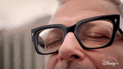 Episode 2 GIF by The World According to Jeff Goldblum | Disney+