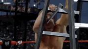 chris jericho wrestling GIF by WWE