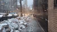 First 'Widespread Snow' of Season Arrives in NYC