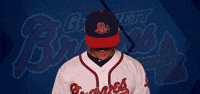baseball GIF by Gwinnett Braves