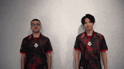 League Of Legends Lol GIF by G2 Esports