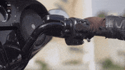 Performance Experience GIF by Harley-Davidson
