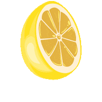 Chellekiecreations lemon lemonade grocery lemons Sticker