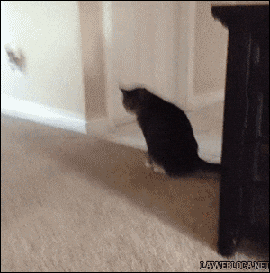 itchy GIF