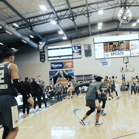 Lets Go Yes GIF by Wisconsin Herd