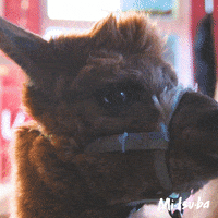 MenkenOrlando party what celebrate confused GIF