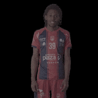 GIF by SMV HB