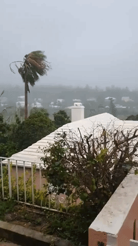 Hurricane Paulette Knocks Out Power for Thousands in Bermuda