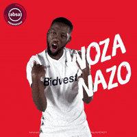 south african soccer GIF