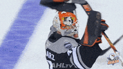 Happy Anaheim Ducks GIF by San Diego Gulls