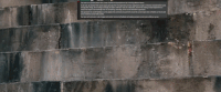 GIF by Giphy QA