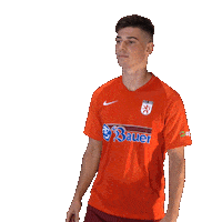 Wbg11 Sticker by WasserburgerLöwen