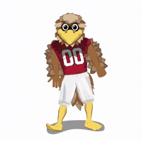 Atlanta Falcons Dance GIF by Wells Fargo