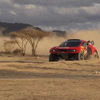 GIF by Red Bull