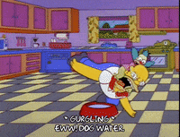 homer simpson GIF