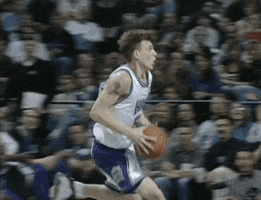 sacramento kings GIF