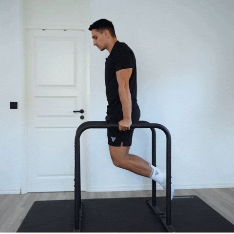 Calisthenics Daniel Flefil GIF