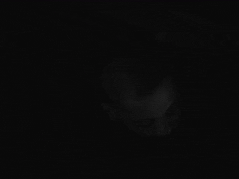 Tony Todd GIF by Sam Dew