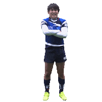 Rugby Ibm Sticker by dec boc