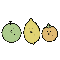 Fruit Sticker
