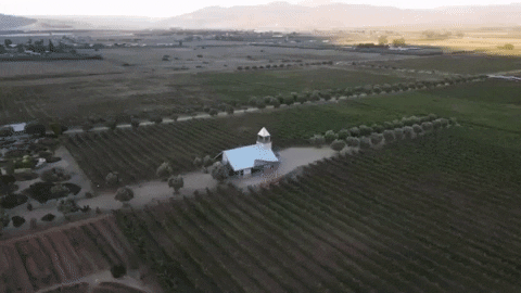 petos21 giphygifmaker GIF
