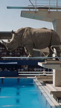 Jumping Lets Go GIF