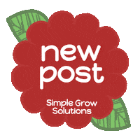 Flowers Plants Sticker by Simple Lawn Solutions