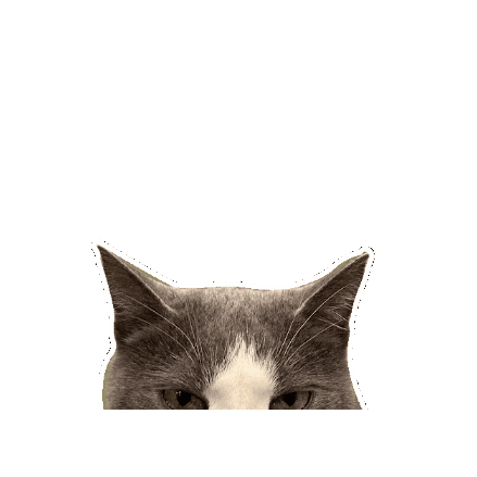 Pattythecat Sticker by RecPro