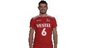 tvforgtr volleyball voleybol tvf eurovolley Sticker