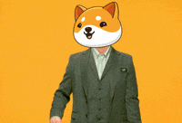 Money Crypto GIF by Baby Doge Coin