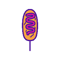 Korean Hotdog Sticker