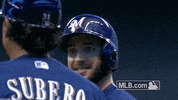 head braun GIF by MLB