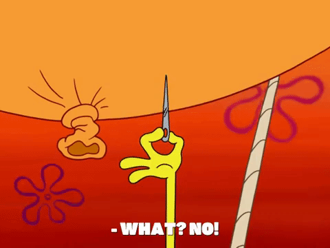 season 8 GIF by SpongeBob SquarePants