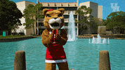 houstoncougars houston sasha gocoogs shasta GIF
