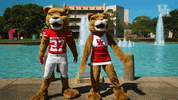 houstoncougars houston sasha gocoogs shasta GIF