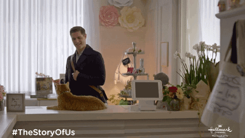 The Story Of Us Fun GIF by Hallmark Channel