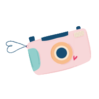 Camera Sticker by Lemon Paper Design