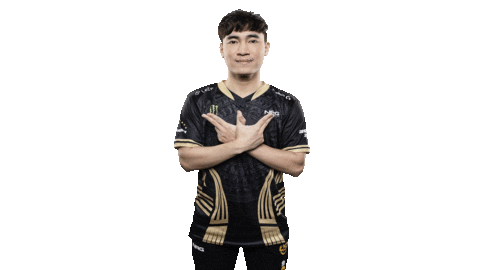 Levi Sticker by GAM Esports