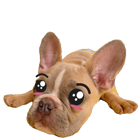 French Bulldog Dog Sticker by SOY FANIMAL