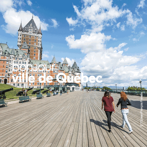 Ville De Quebec Summer GIF by Bonjour Québec