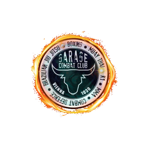 Sport Logo Sticker by GARAGEBOXING