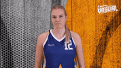 Sport Hoops GIF by Basket_fi