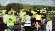 cougars 5k GIF by Kane County Cougars