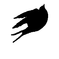 villadaliju mexico oaxaca huatulco daliju Sticker