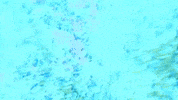 House Music Dj GIF by Giant Music