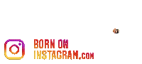 Amritsarfoodie Sticker by BORN ON INSTAGRAM