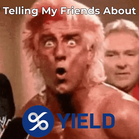 Rick Flair Crypto Meme GIF by YIELD