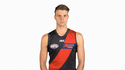 essendonfc giphyupload dons bombers ridley GIF