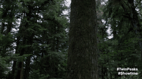 Twin Peaks Horror GIF by Twin Peaks on Showtime