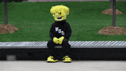 Wu_Shock relax wu wsu kickback GIF
